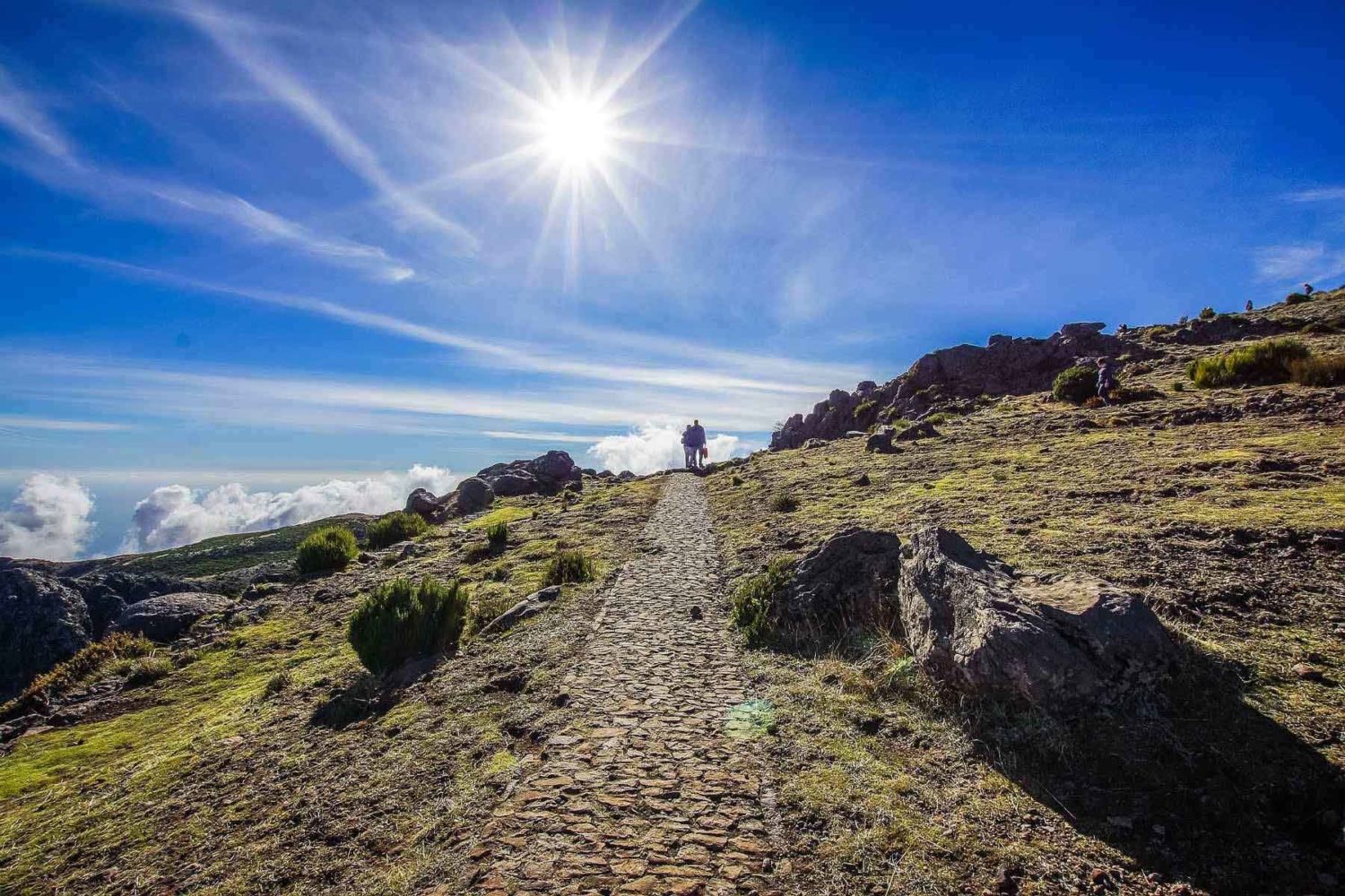 hiker in madeira-Walking Holiday in Madeira | Hiking Holiday Madeira