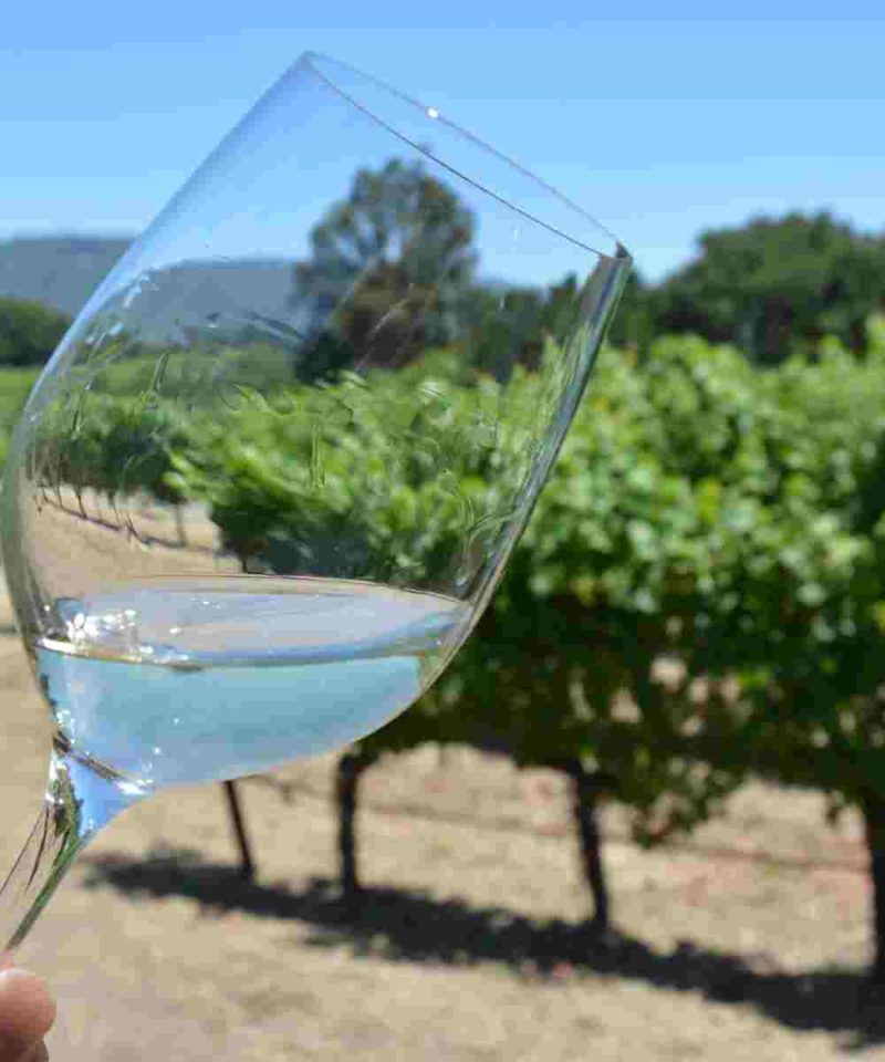 gourmet wine tour valencia- glass of wine