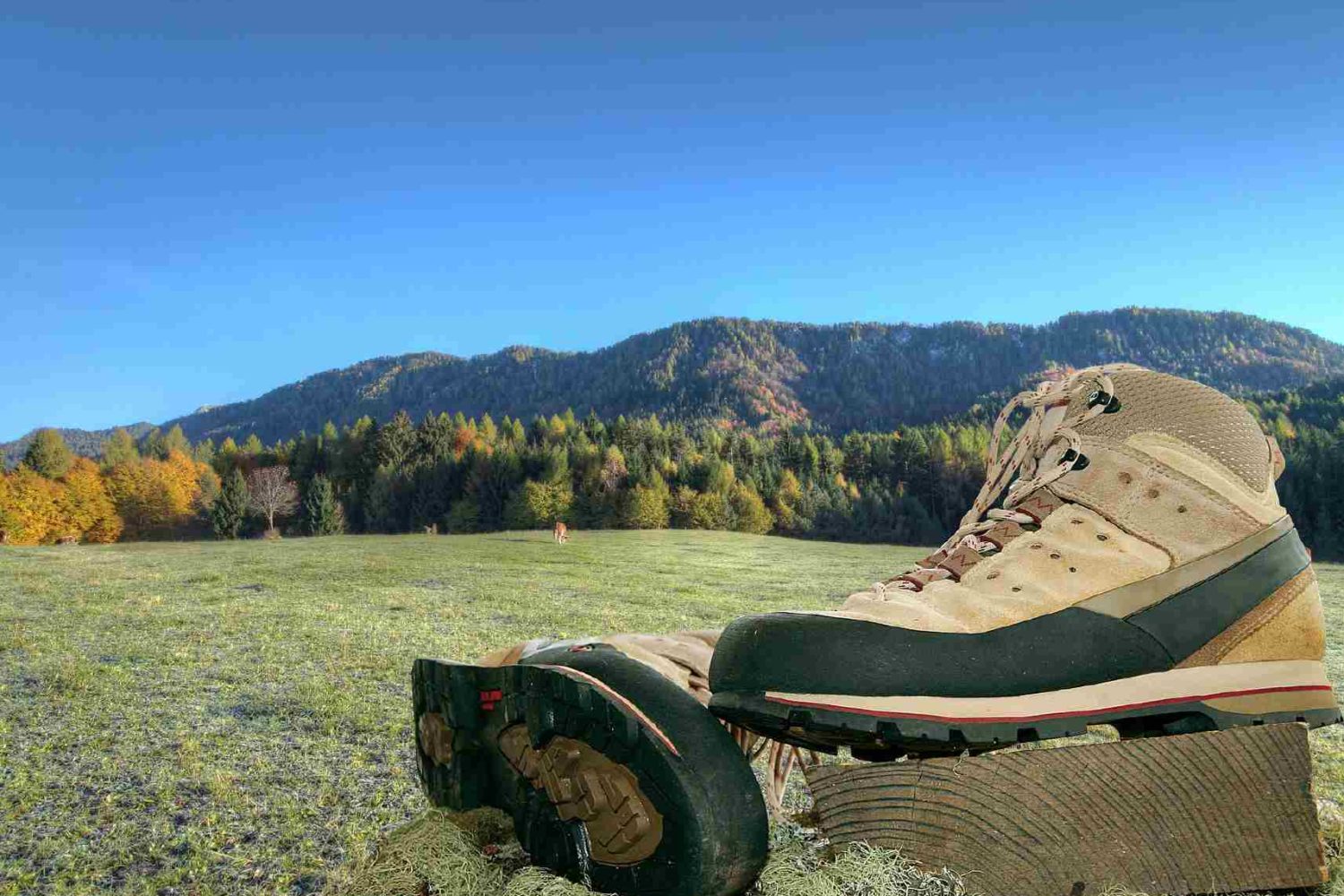 hiker shoes- -walking holiday in tuscany