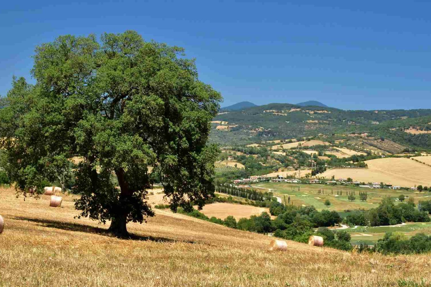 tuscany countryside
